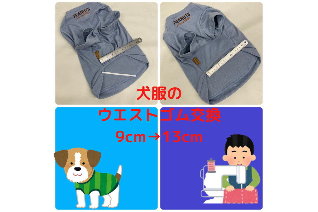 犬服のウエストゴム交換